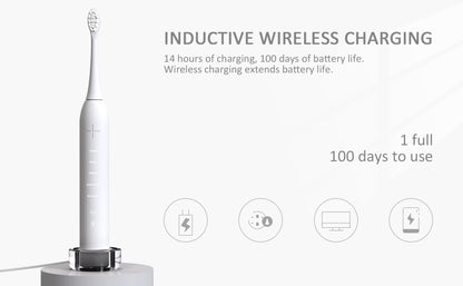 Smart Sonic Whitening Dupont Soft Brush Rechargeable Silent Electric Toothbrush